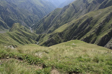 mountain landscape in summer