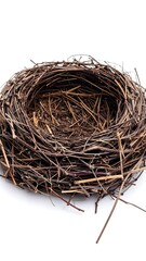 Obraz premium Empty bird's nest on white background (2)
