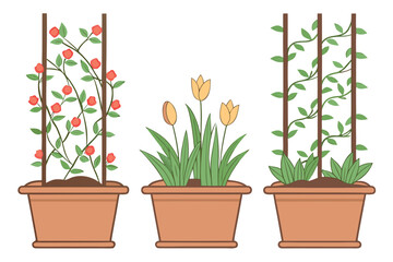 Obraz premium Potted red rose vines, yellow tulips, and green vines are displayed against transparency