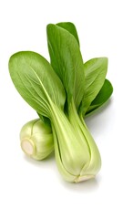 Fresh bok choy on white background (1)