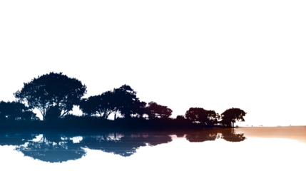 Sunset Over a Tranquil Ocean with Silhouetted Trees isolated on transparent white background --ar 16:9 --raw