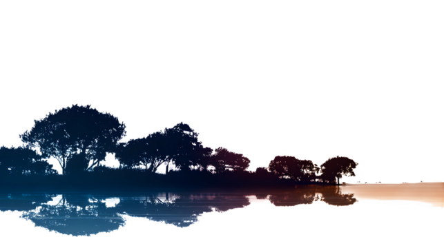 Sunset Over a Tranquil Ocean with Silhouetted Trees isolated on transparent white background --ar 16:9 --raw