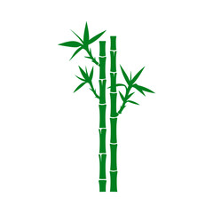 Obraz premium Serene Green Bamboo Stalks Silhouette Illustration
