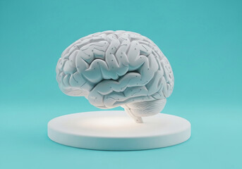 Stunning 3D white brain model with circuit pathways on minimalist stand, representing intelligence and innovation.