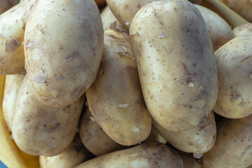 Abundant harvest of organic potatoes with earthy details symbolizing natural goodness and healthy eating. From farm to table rustic charm of unwashed potatoes ready for wholesome home cooked dishes.