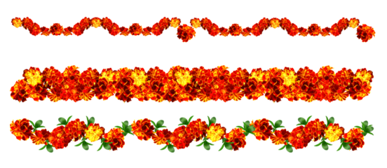 isolated Seamless garlands of flowers. Set .Marigold Diwali. Indian flower door garland of leaves and marigold flowers. marriage, festivals traditional.