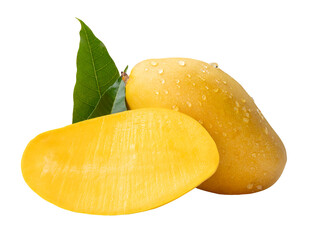 Single ripe yellow mango fruit and half with green leaves and water droplets in stack isolated with clipping path in png file format