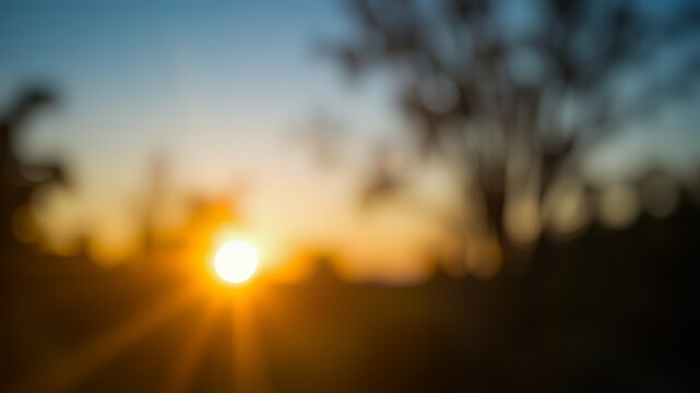 Warm golden sunset light filtering through trees creating a peaceful natural scene