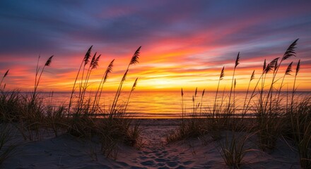 A beach sunrise or sunset presents vivid fiery hues reflected on calm water, reeds silhouetted in the foreground, framed by sandy dunes