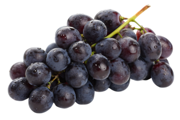 Fresh dark purple grapes bunch with visible water drops and green vine stem, isolated on a transparent background