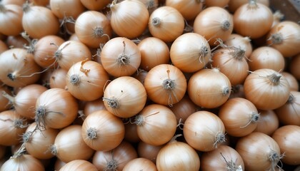 A Close-Up View of a Pile of Freshly Harvested Brown Onions, Ready for Sale at the Farmer's Market