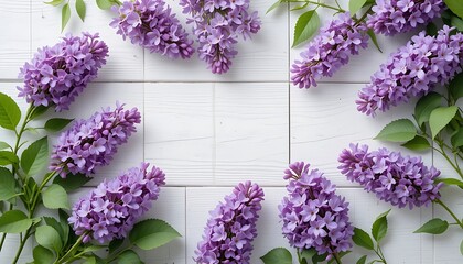 Beautiful Lilac Flowers Arranged on White Wooden Background for Springtime Decoration