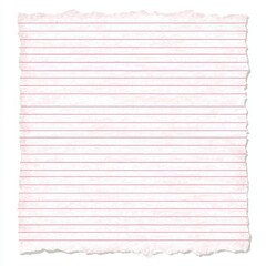 Obraz premium Torn lined paper