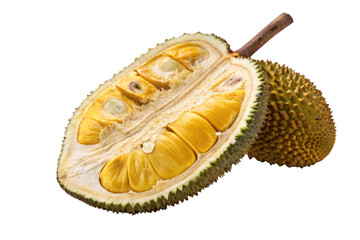 Fototapeta premium Opened durian showing creamy yellow arils with visible seeds nestled in natural spiky green fruit casing, isolated on a transparent background