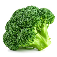 Fresh broccoli head against white background (2)