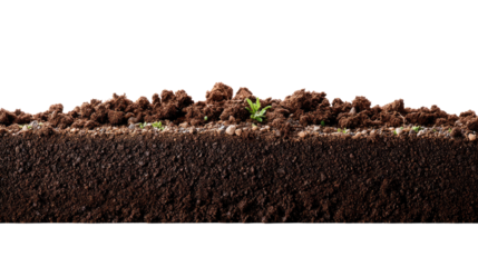 Cross-Section of Earth: A detailed cross-section reveals the rich layers of earth, showcasing soil, texture, and the potential for life.