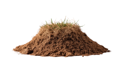 Earth mound with grass: A small mound of earth, its surface rough and textured, is dotted with vibrant green grass, symbolizing growth and the enduring connection between soil and life.