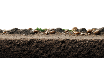 Earth Layered: A cross-section of earth reveals layers of soil, stones, and vegetation, a testament to the rich complexity of the natural world.