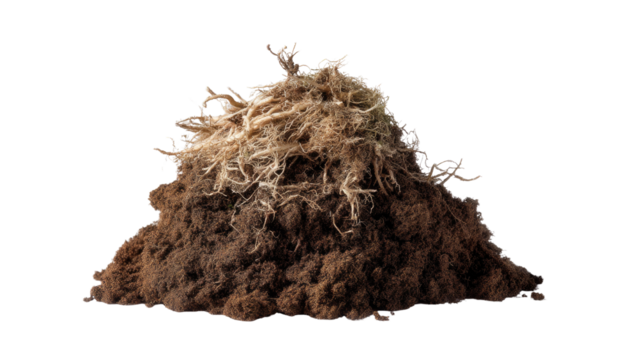 Earthy Pile of Soil: A close-up shot captures a detailed mound of rich, dark earth, inviting a closer look at the natural textures and earthy composition.