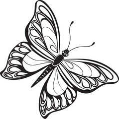 Obraz premium black and white butterfly vector