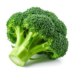 Fresh broccoli head, vibrant green (1)