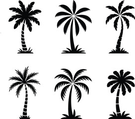 Fototapeta premium Collection of stylized black palm tree silhouettes for tropical themes