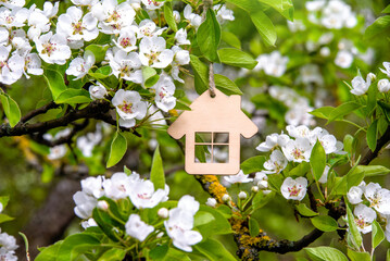 The symbol of the house among the branches of the pear
