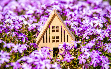 The symbol of the house stands among the purple flower
