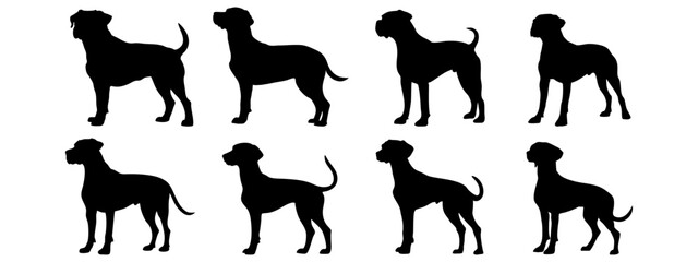 Boxer in different poses. Dog breed silhouette.