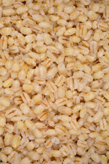 A vertical close-up shows a bountiful pile of cooked, light brown barley grains, highlighting their...