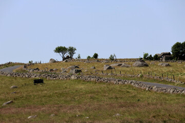 Obraz premium Cheminement dans cette belle campagne française