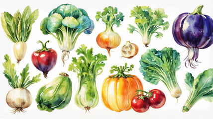 Watercolor vegetables Fresh and healthy vegetables on white background. Great source of vitamin.
