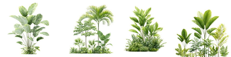 Tropical Plant Collection - Green Foliage Illustration Set