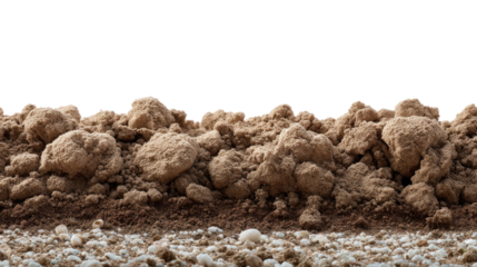 Soil Texture and Composition: A detailed view of soil texture reveals a mix of various elements and particles essential for earth’s wellbeing.