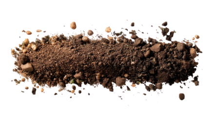 Soil Texture Composition: A close-up image of rich soil, speckled with small rocks and pebbles. A perfect showcase for earth's building blocks.
