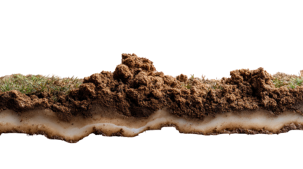 Cross-Section Earth Layers: A detailed cross-section reveals the layered composition of the earth, with visible soil, rock and a base layer.