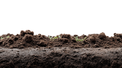 Fertile Earth Close-Up: A detailed cross-section reveals the rich, dark soil, showcasing its potential for growth and the intricate details of a thriving ecosystem.