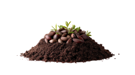 Emerging Sprouts: A symbol of growth and renewal, a tiny sprig of life pushing through fertile soil, demonstrating the promise of new beginnings.