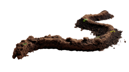 Serpentine Soil: A close-up, eye-level perspective of a winding, organic soil formation, evoking the concept of growth, nurture, and the earth's fundamental essence.