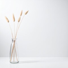 Minimalist Still Life of Dried Plant Stems in Glass Vase on White Table