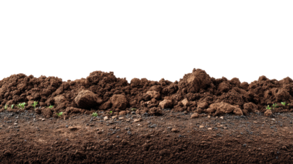 Soil section close up: An intricate cross-section reveals a rich, fertile expanse of earth, with layers of brown soil and subtle textures, offering a glimpse into the earth's natural composition.