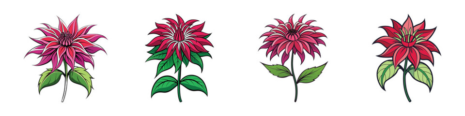 Red dahlia flower vector icons with green leaves-A set of four stylized red dahlia flower illustrations featuring pointed petals and leafy stems, ideal for floral, botanical, or decorative design use.