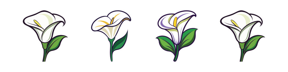 White calla lily flower icons set-A collection of four stylized white calla lily illustrations with green leaves, ideal for floral designs, prints, and decorative use.