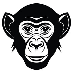 Fototapeta premium head of the monkey
