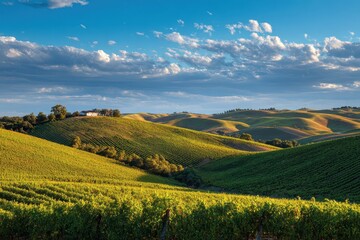 Tuscany vineyard hills with farmhouse under a scenic sky for tourist promotions