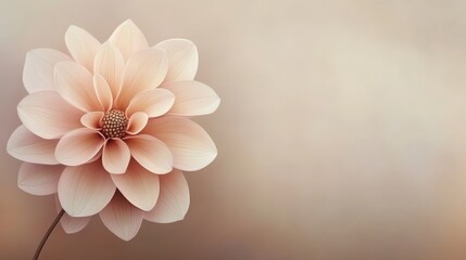 Pastel Dahlia Digital Art, Floral Composition, Soft Focus, Delicate Bloom, Nature, Botanical, Peach Tones Dahlia