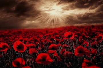 Sunlit Poppy Field Dramatic Sepia Composition, Remembrance Day Concept, Red Flowers, Landscape Photography Remembrance, Poppy
