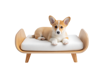 Adorable corgi puppy relaxing on its modern pet bed.