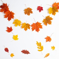 Fototapeta premium Colorful Autumn Leaves Composition on White Background Flat Lay Top View
