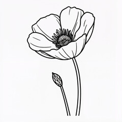 hand drawn flower